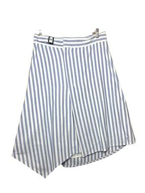 Alexander Jordan Striped Blue White A-Line Skirt Sz M Cotton Coastal Minimalist